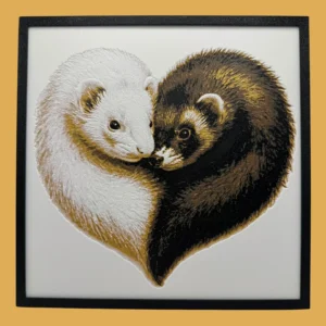 Ferrets Heart